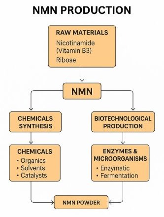 Visueel overzicht van NMN productieproces